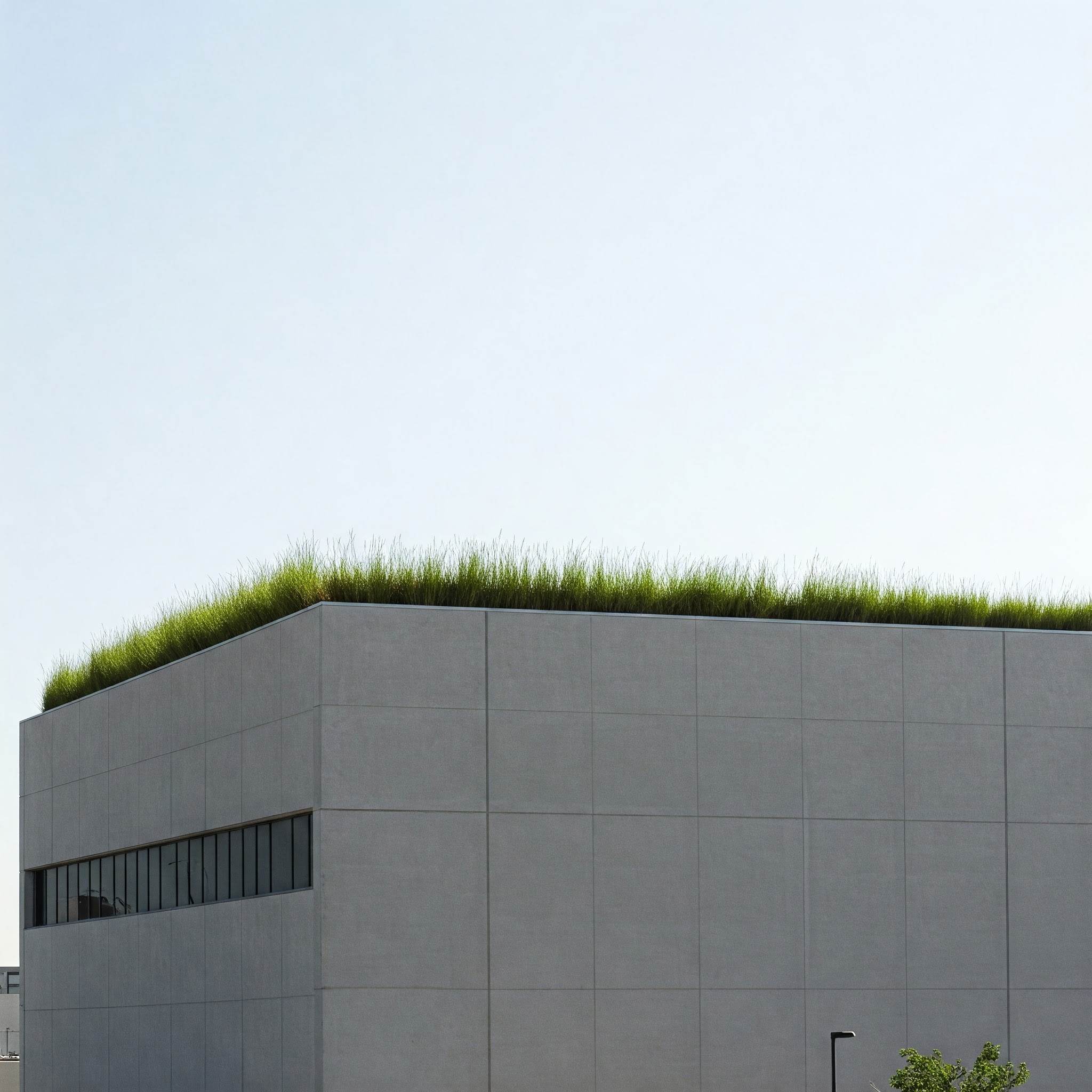 Gallery image with a fresh perspective