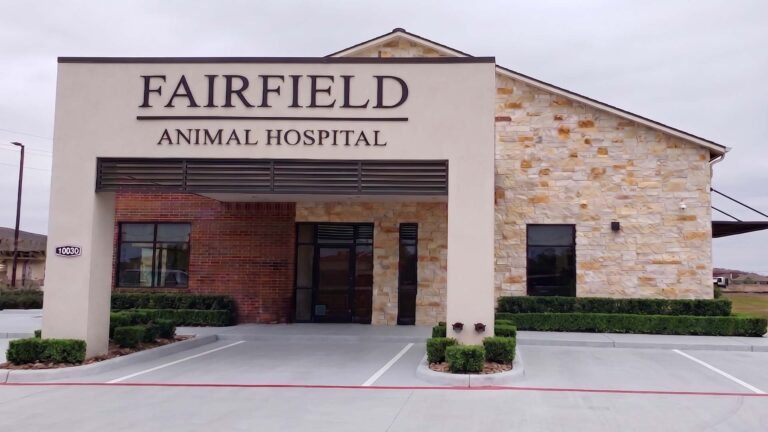 Front entrance of Fairfield Animal Hospital in Cypress, TX with building signage, built by Keeton Construction Services