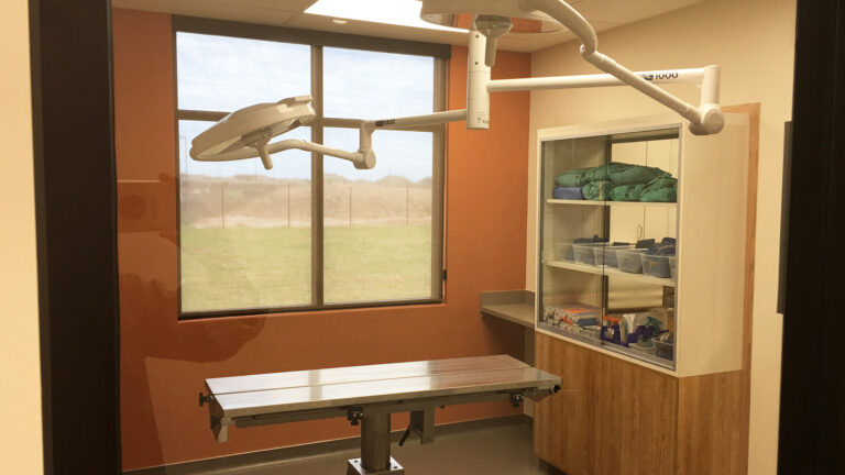 Interior procedure room at Fairfield Animal Hospital in Cypress, TX built by Keeton Construction Services, with exam table and overhead surgical lights
