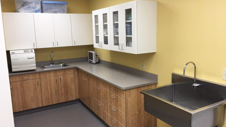 Interior utility room at Fairfield Animal Hospital in Cypress, TX built by Keeton Construction Services, with cabinetry, countertops, and sinks