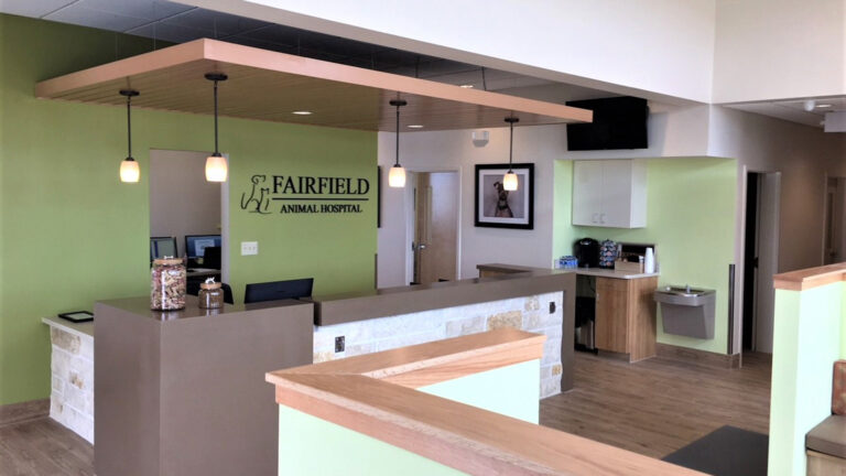 Interior reception area of Fairfield Animal Hospital in Cypress, TX built by Keeton Construction Services, with front desk and pendant lighting