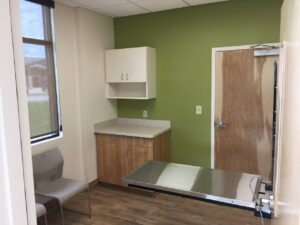 vet clinic exam room designed by Houston general contractor