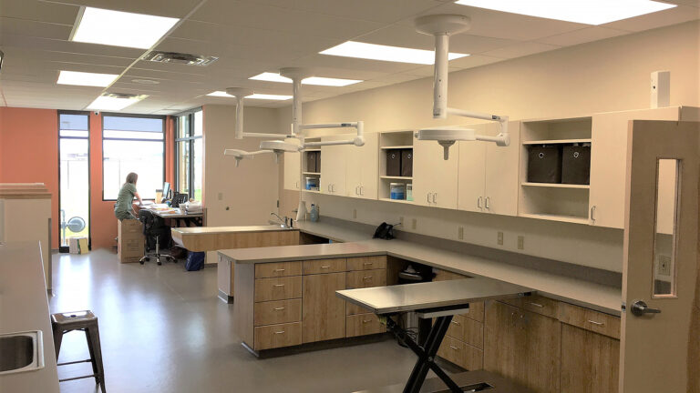 Interior clinical workspace at Fairfield Animal Hospital in Cypress, TX built by Keeton Construction Services, with cabinetry and ceiling-mounted exam lights